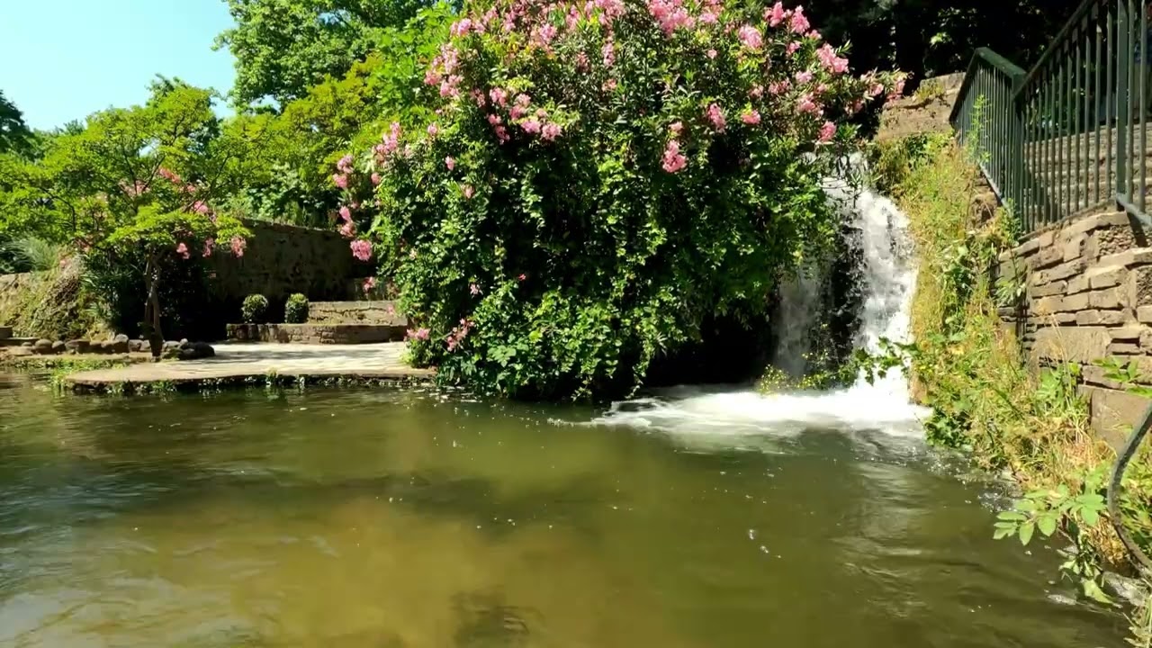 Chiều Hoang (Lam Phương)