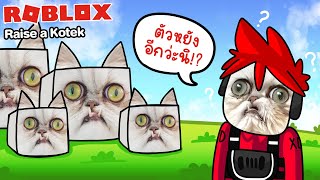 Roblox : Raise a Kotek #1  🐈 เลี้ยงแมวภาคใหม่ หาเงินยากกว่าเดิมอีก !!!