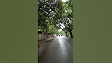 Thumbnail of مشاري راشد العفاسي - سورة الملك