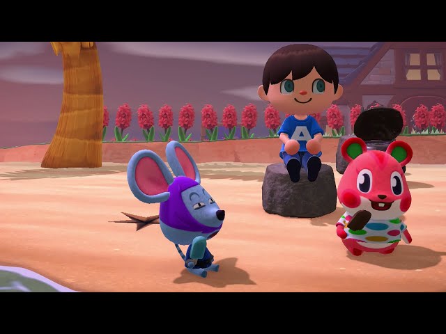 Rizzo & Apple Eat Ice Cream Bars for 4 Minutes (Animal Crossing: New  Horizons) 