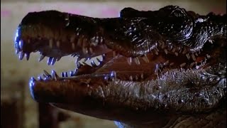 Alligator (1980)
Dedicated to my Grandfather & Grandmother (R.I.P) who gave me these great memories as a child!
From my VHS tape collection...
(Hope i can save them from being lost forever & you can enjoy them at the same time)!
Alligator -
A baby alligator is flushed down a Chicago toilet and survives by eating discarded laboratory rats injected with growth hormones. The small reptile grows gigantic, escapes the city sewers, and goes on a rampage. Alligator (1980)
