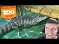 UM JACARÉ do PERIGO!!! - Zoológico do Lipão #09