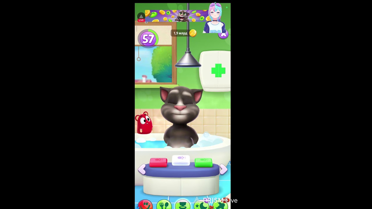 TOM Talking bitch eats