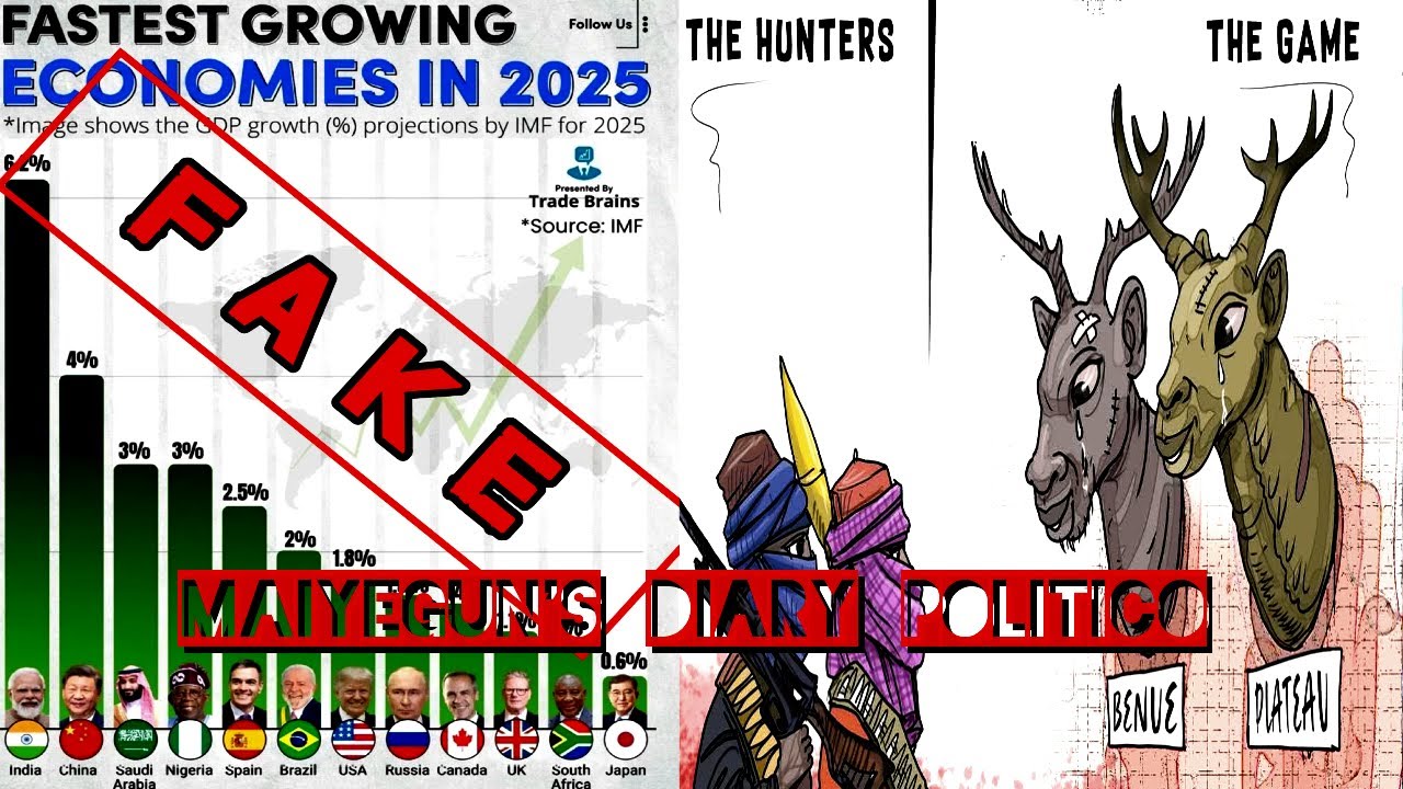 Nigeria 37th Growing Economy In The World, Thiefnubu's Men Lied, Then Move To Criminalise Fake News