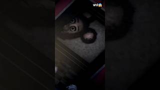 Five Nights At Maggies