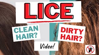 Do Lice Like Clean Hair or Dirty Hair Video Do Head Lice Like Dyed Hair