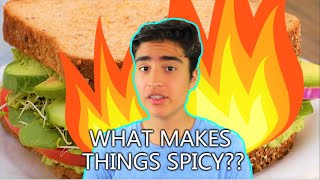 What Makes Things Spicy? (Explained with Science!)