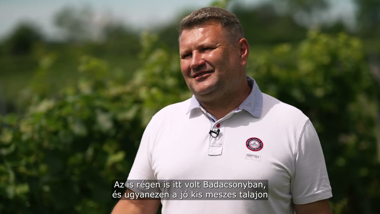 Váli Péter - Váli Birtok - Badacsony