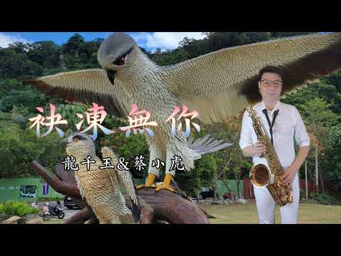 龍千玉＆蔡小虎~袂凍無你D~薩克斯風次中音點歌集707/Ray sax