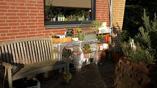 Een plantenbieb aan huis in Veghel