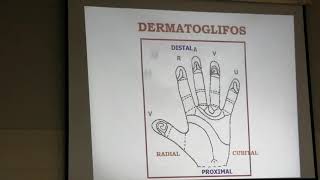 Dermatoglifos