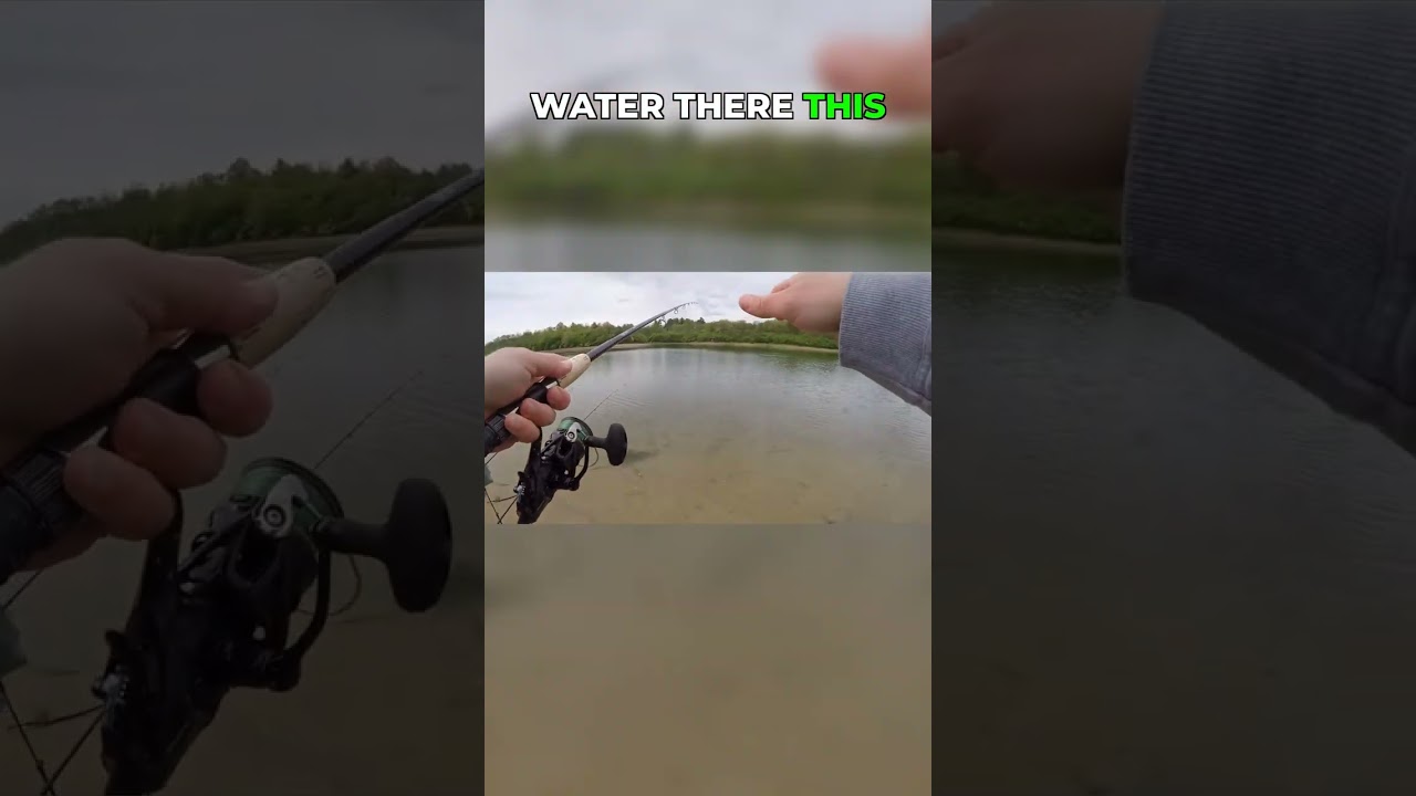Midday fishing strategy: Water temp & fish location