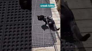 Best Boy Goes Exploring