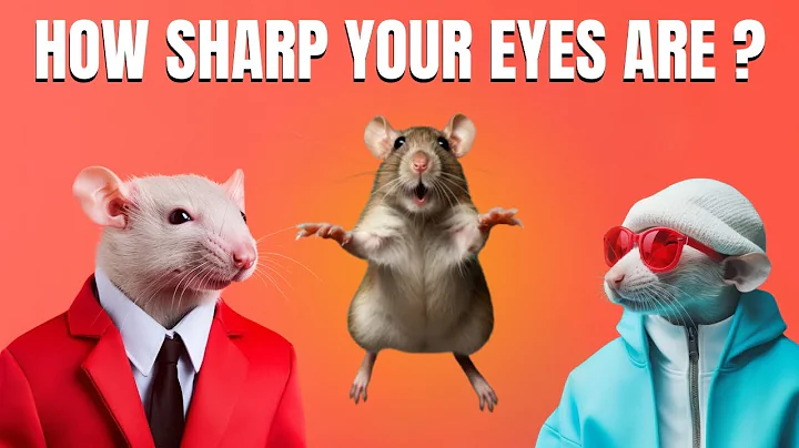 Spot the Difference Challenge! How Sharp Are Your Eyes? [ Find The Difference #3 ]