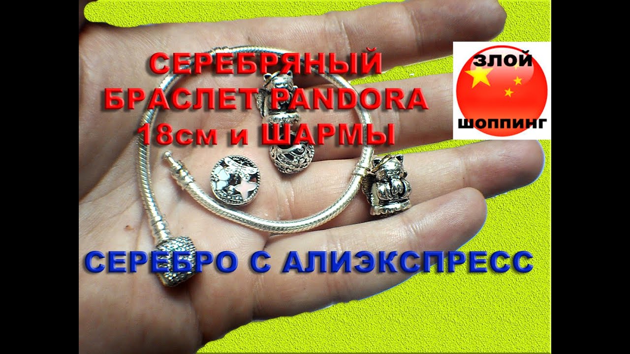 Серебряный Браслет как Пандора 18см с Алиэкспресс и Шармы Коты Ангелы, Стрекоза и Шайбочка
