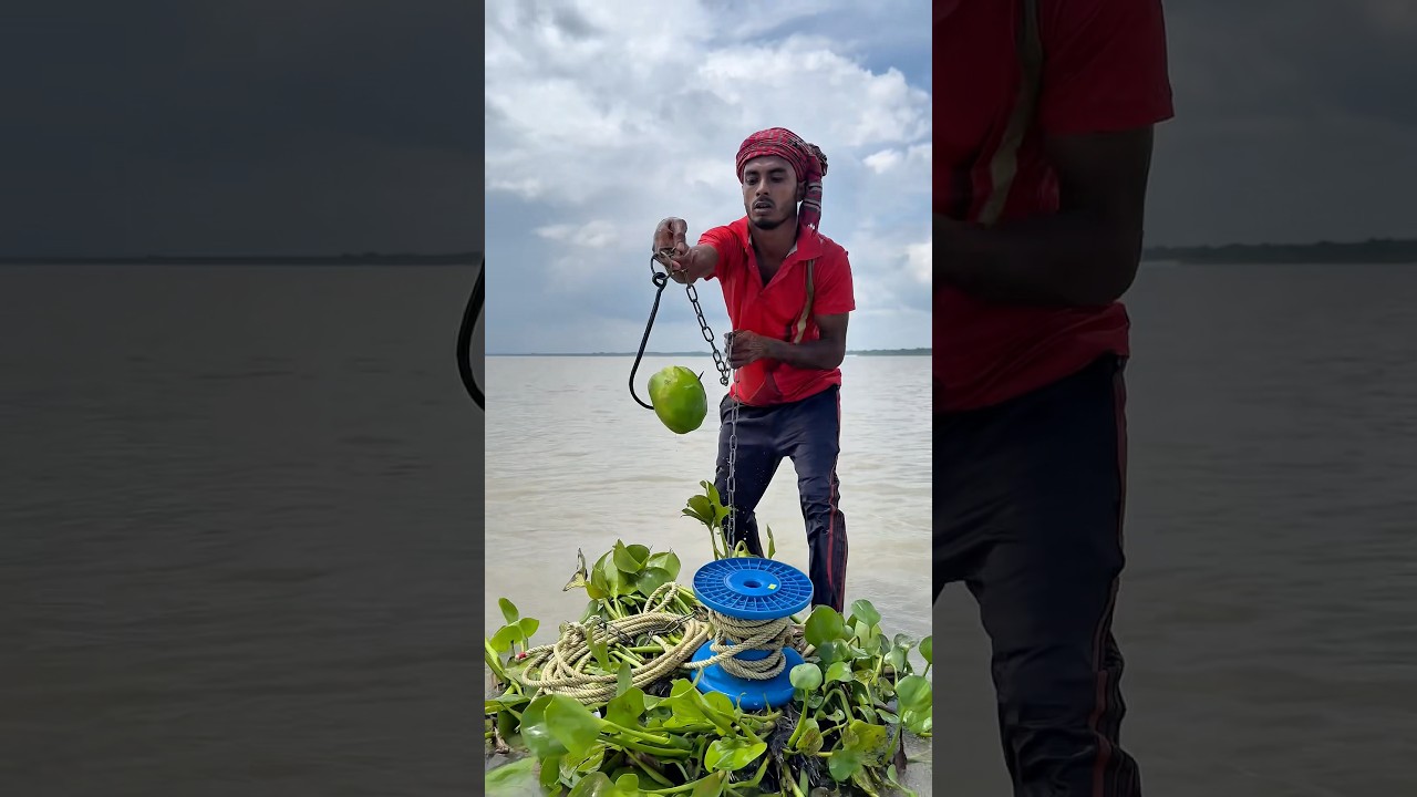 Shark hunting method with tasty papaya bait in river 