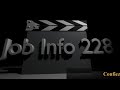 Job info 228