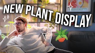 Building & Styling a New, Beautiful IKEA Plant Display 🌿