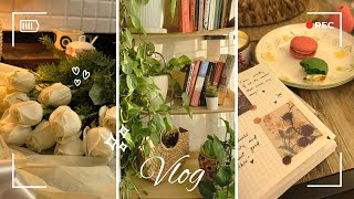 Slice of Life India 🇮🇳 | Cozy Solo Day Out | Book Haul, Bakery Runs & Coffee Journaling ☕️🌸