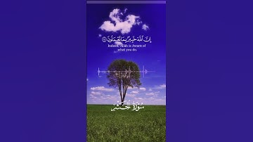 يأيها الذين آمنوا اتقوا الله #قرآن #اكسبلور #المصحف #القرآن_الكريم #تيك_توك #تلاوة #راحة_نفسية #خشوع