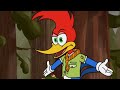 Lo salvaje | El Pájaro Loco | Dibujos animados para niños | WildBrain en Español