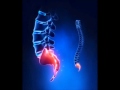 Coccyx pain relief frequency tailbone  spine pain relief music