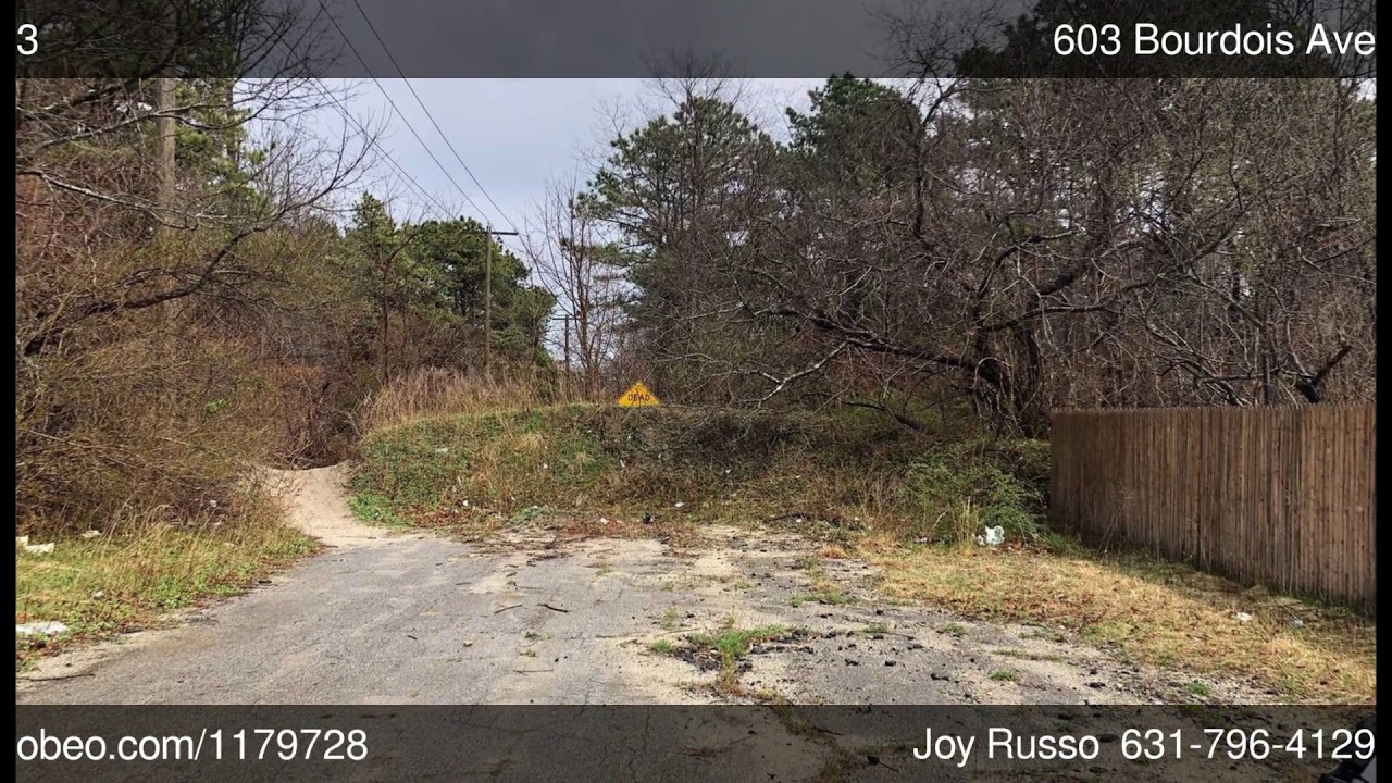 603 Bourdois Ave Bellport NY 11713 Joy Russo Realty Connect USA