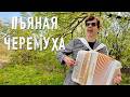 Пьяная черемуха - поет Вячеслав Абросимов