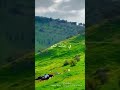 هذي الدنيا ياعباد الله فمابالكم الجنه لاعين رات ولا اذن سمعت ولا خطر على قلب بشر هذي الدنيا ياعباد الله فمابالكم الجنه لاعين رات ولا اذن سمعت ولا خطر على قلب بشر