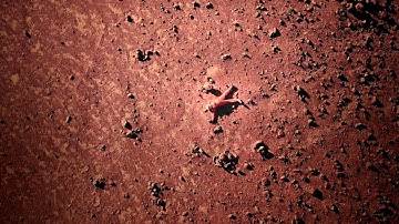 YORK and Lord0 - The Red Planet [Official Video]