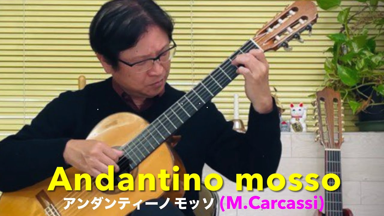 Andantino mosso アンダンティーノ モッソ イ短調/M.Carcassi カルカッシ【ギター独奏 杉原俊範】