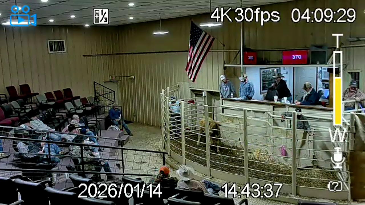 Red River Livestock LLC