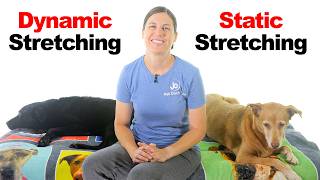 Which is Better? Dynamic Stretching or Static Stretching.