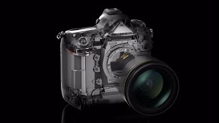 Nikon D5: Product Tour