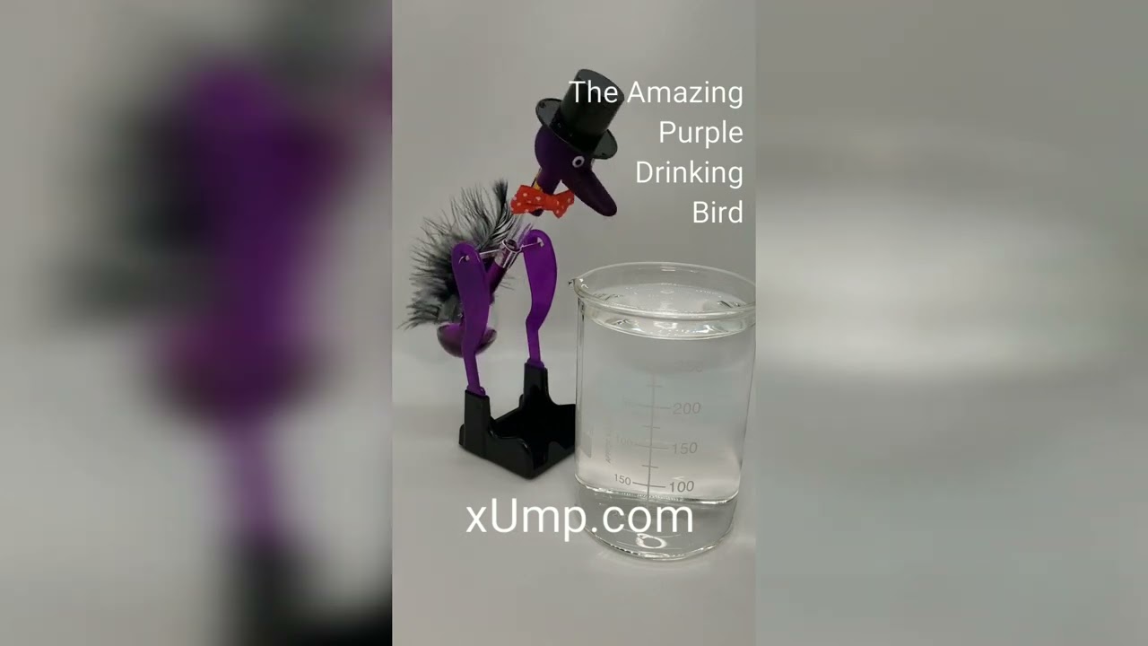 The Amazing Purple Drinking Bird - Thermodynamic Dippy Bird