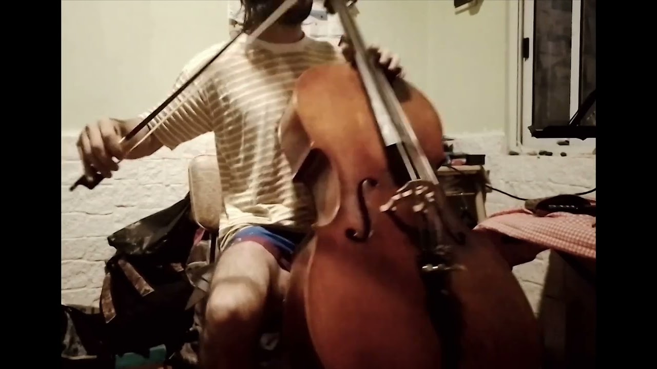 Dotzauer 113 Studies - Ejercicio 6 cello player