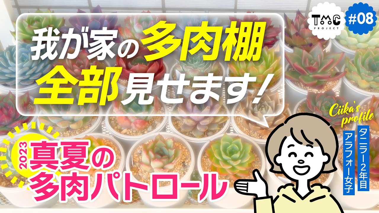 【#08 再UP/多肉植物】我が家の多肉棚 全部見せます！真夏の多肉パトロール2023
