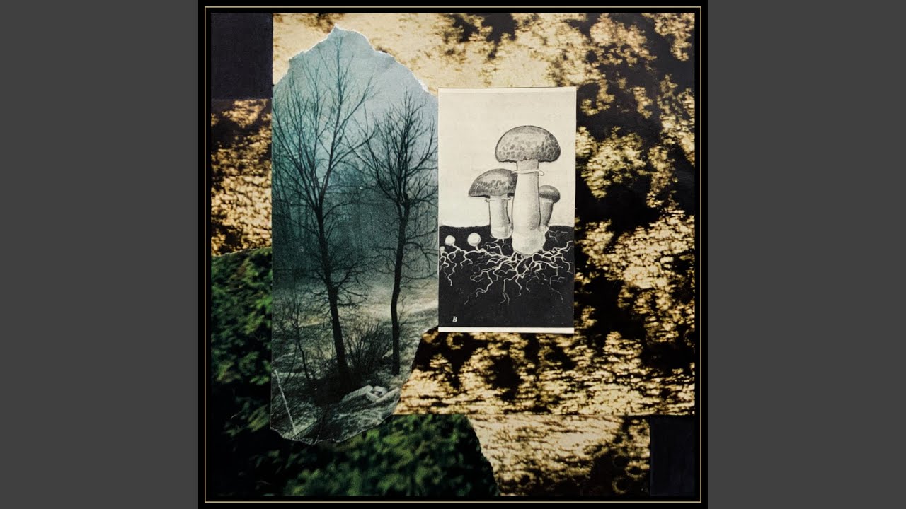 Watch Mushroom on YouTube Watch Mushroom on YouTube