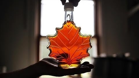 Why Maple Syrup Is Not Just for Pancakes
