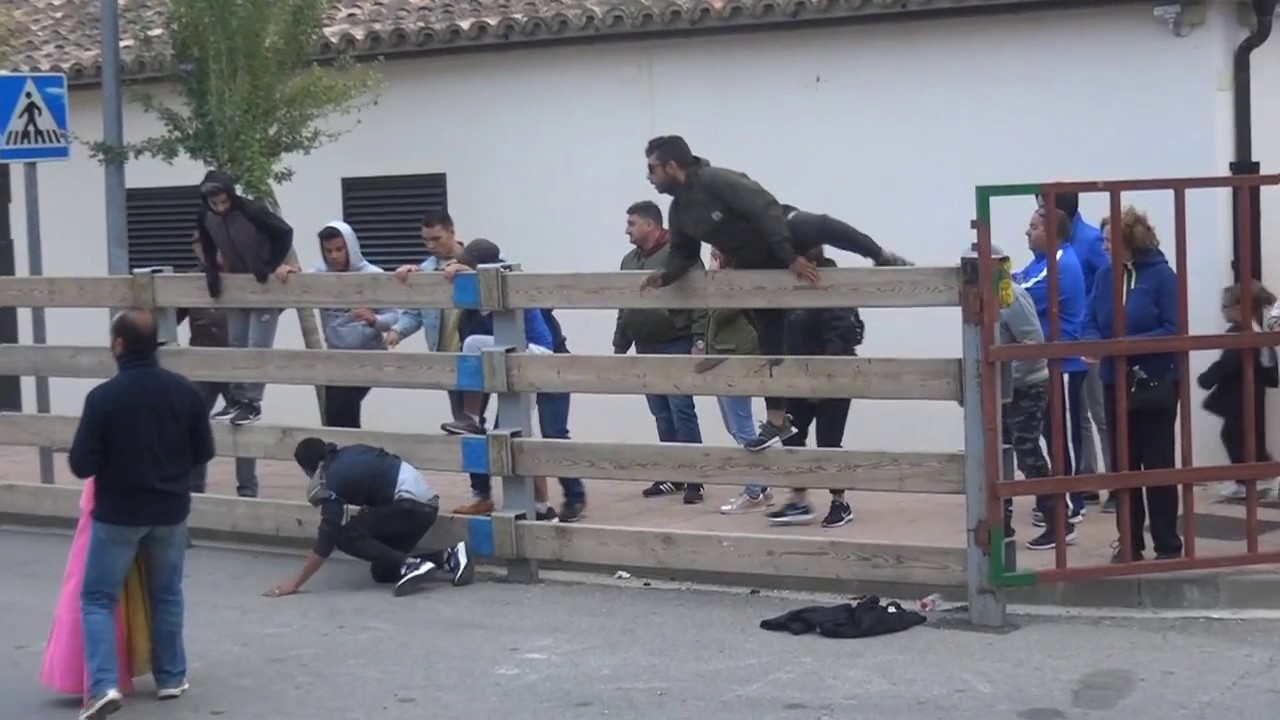 COGIDA EN FONTELLAS (NAVARRA) ARRIAZU. 7- 10- 2018.