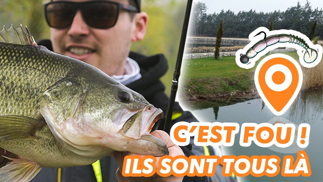 🤯 INCROYABLE! 2 lancés pour 2 POISSONS avec notre NOUVEAU Rockvibe !🤩