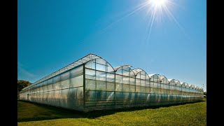 What are the different types of Greenhouse Structure