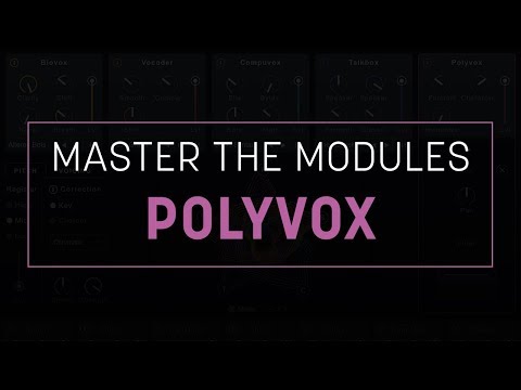 Master the Modules: Polyvox in VocalSynth 2