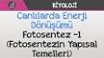 Fotosentez: Güneş Işığını Yaşam Enerjisine Dönüştürme ile ilgili video