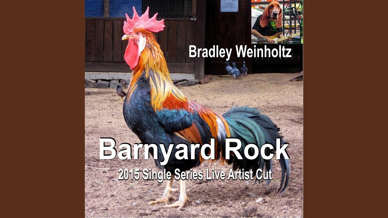 Barnyard Rock (Live) - YouTube