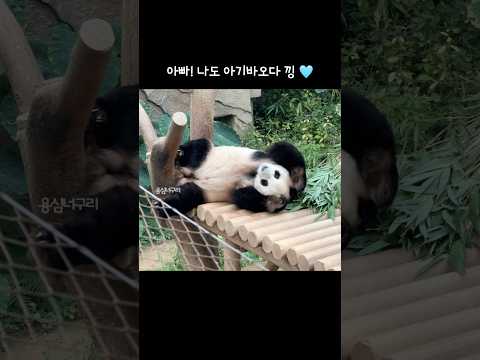 대형 라부부 출현! 러부부 ㅋㅋ