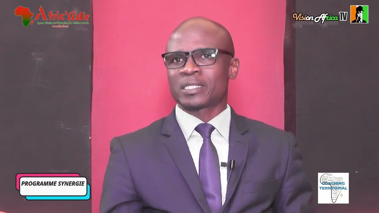 Intro Programme Synergie d'Actions entre le coaching Territorial et l'Economie Sociale et Solidaire
