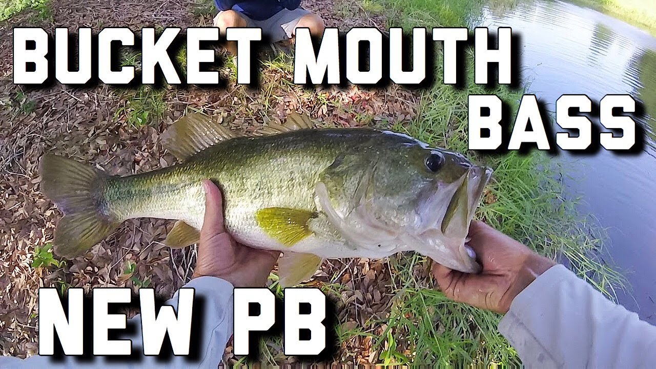 Alabama Bass Pond Hopping NEW PB LARGEMOUTH YouTube