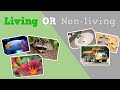Understanding Living Things