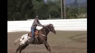 2010 Greatest 4-H Moments